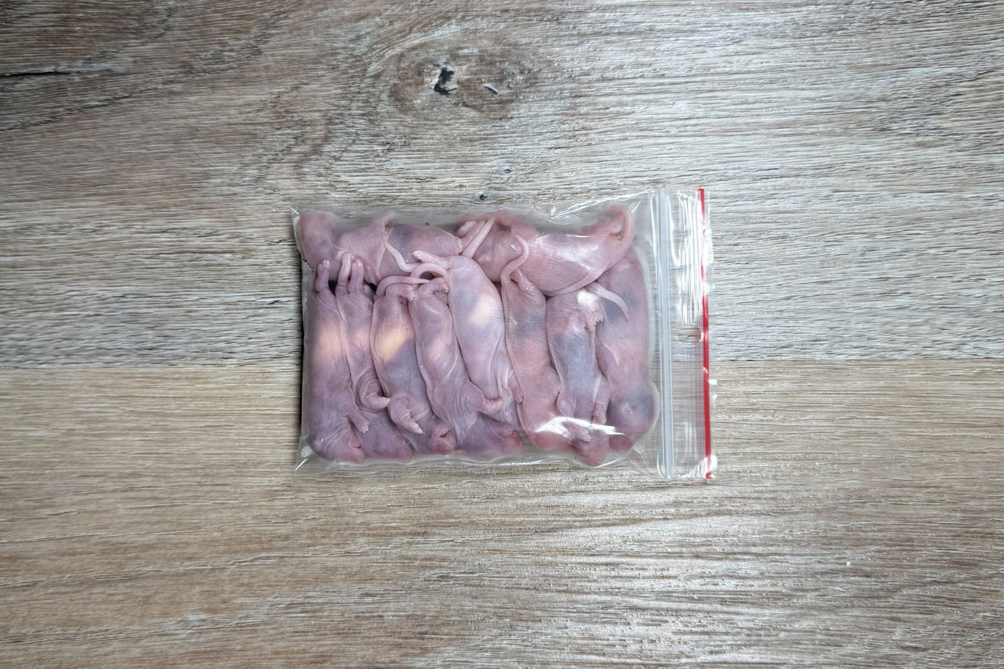 Pinky Rats (<10g)